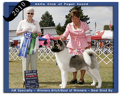 ACPS 2010 Winners Bitch ~ Best of Winners ~ Best Bred By
